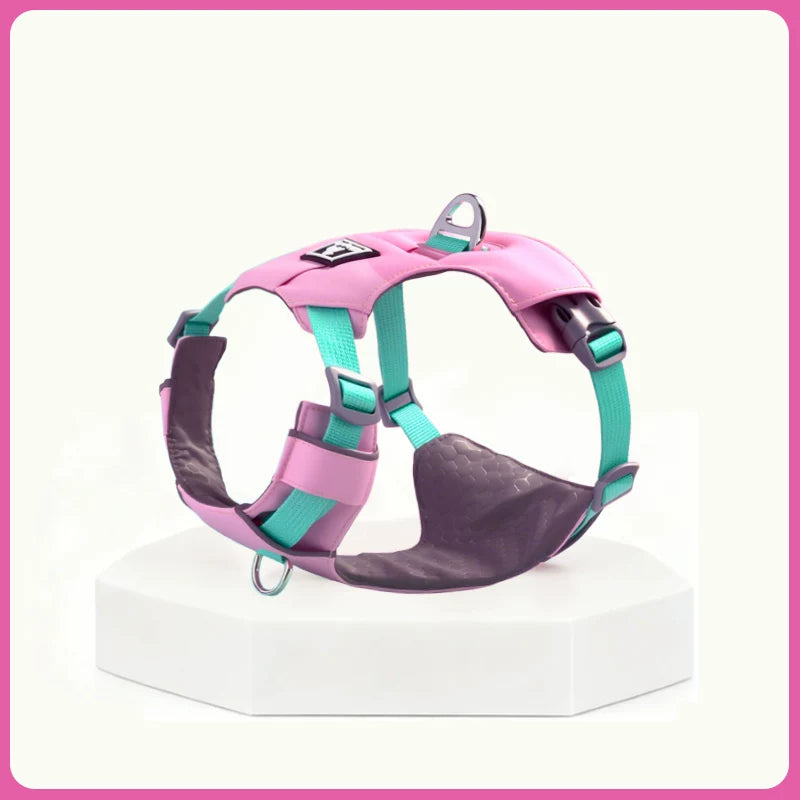 Lightweight Breathable Harness & Leash Set