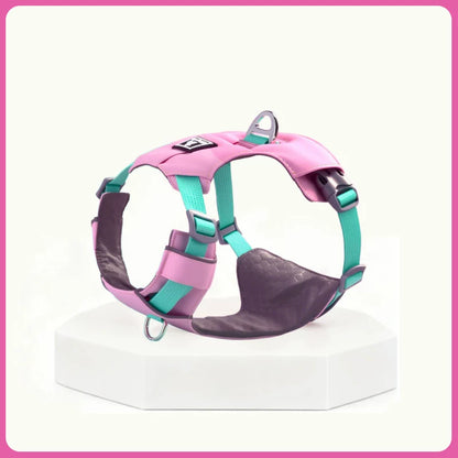 Lightweight Breathable Harness & Leash Set