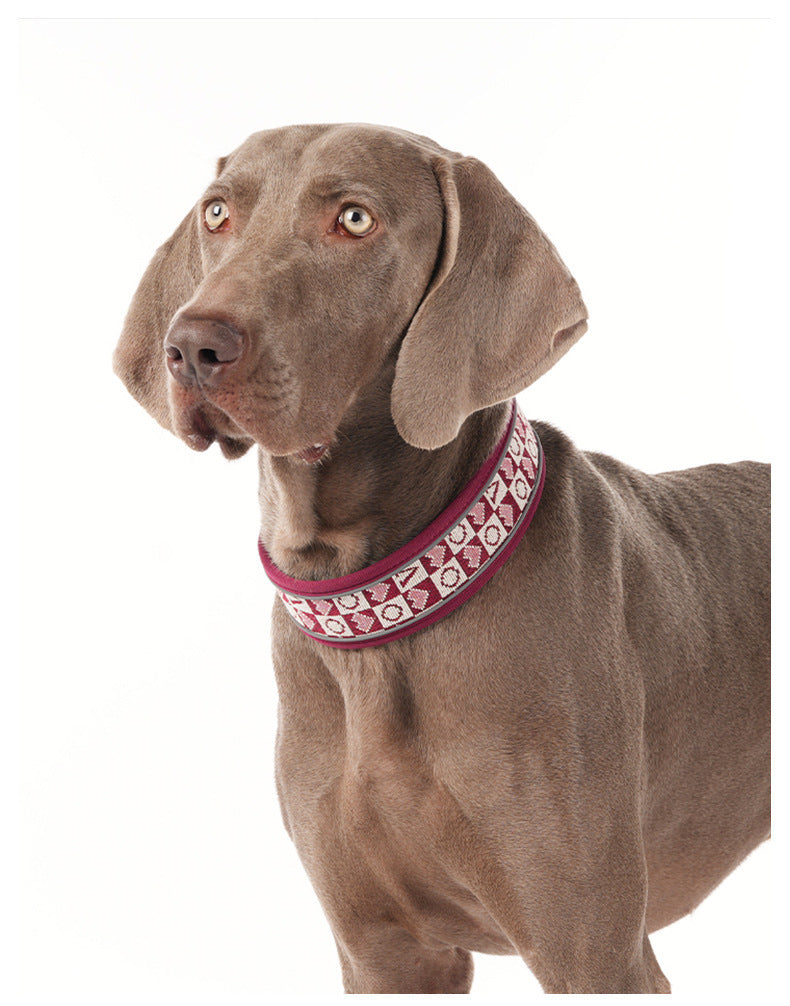 Reflective Wide Padded Dog Collar