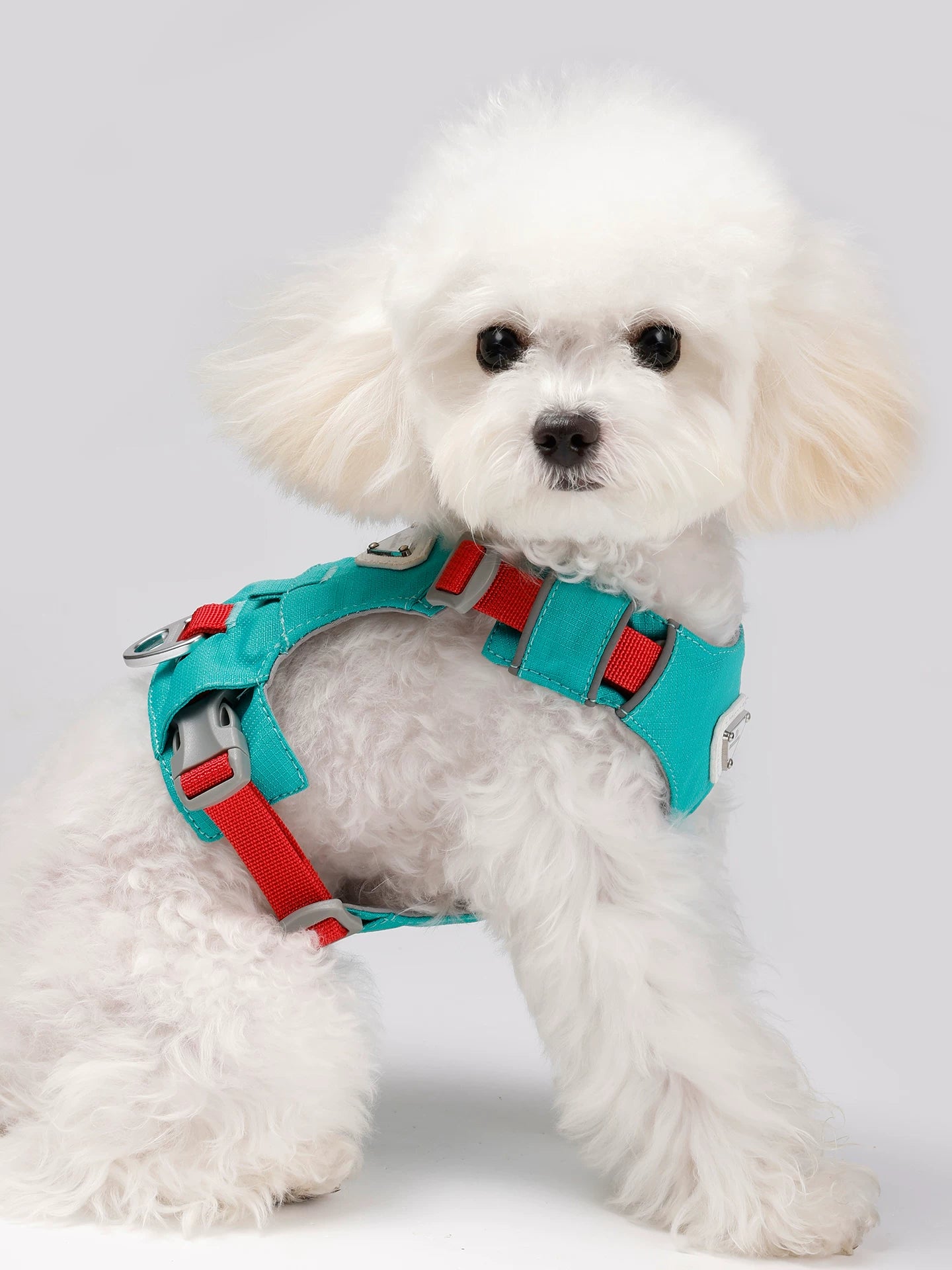 Lightweight Breathable Harness & Leash Set