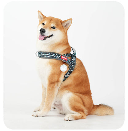 Geometric Reflective Harness & Leash Set
