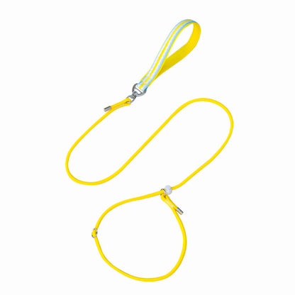 Adjustable Slip Lead Dog Leash