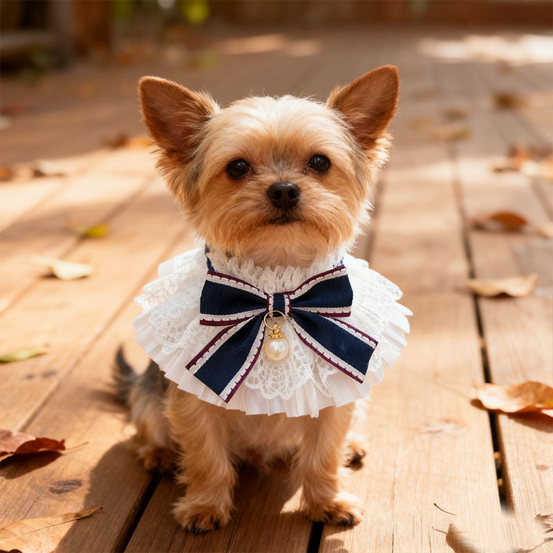 Lace Bow Dog Necklace