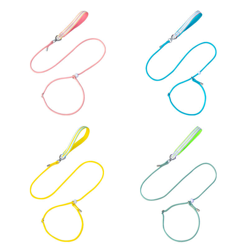 Adjustable Slip Lead Dog Leash