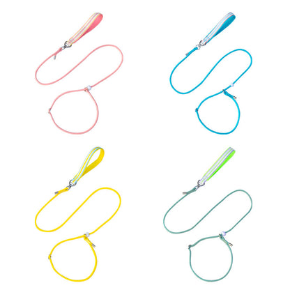 Adjustable Slip Lead Dog Leash