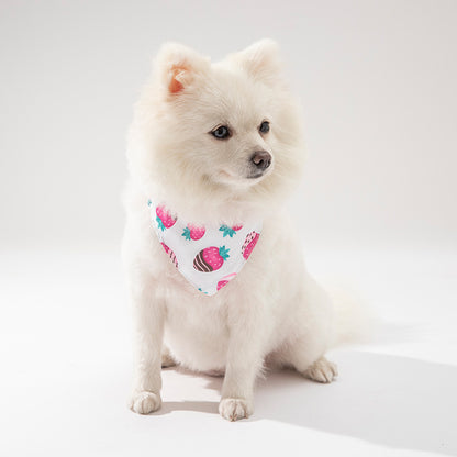 Printed Buckle Dog Bandana