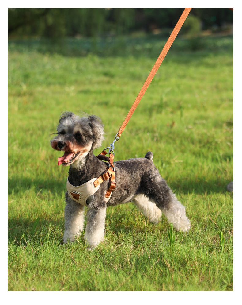 Breathable Mesh Harness & Leash Set