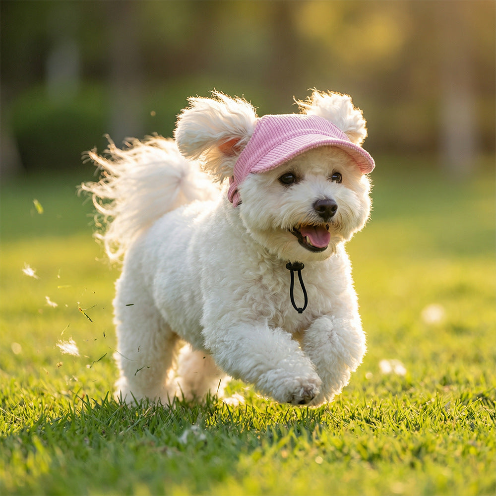 Corduroy Dog Baseball Cap