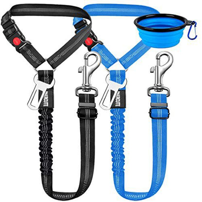 Elastic Bungee Safety Leash for Dogs – Multi-color