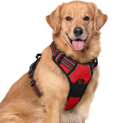 No-Pull Mesh Dog Harness