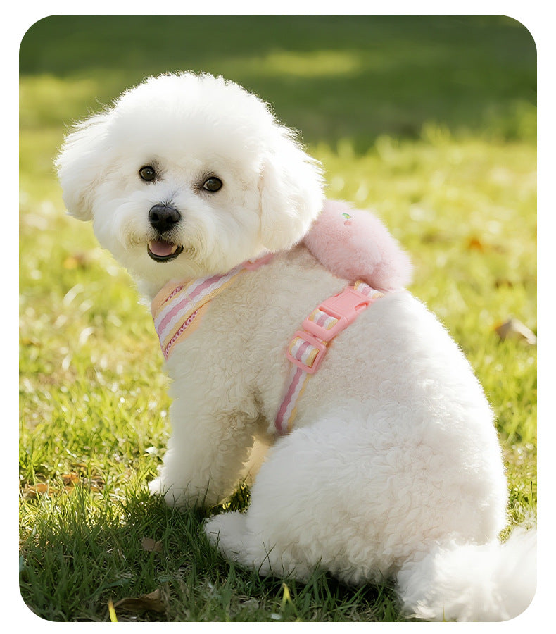 Plush Monster Harness & Leash Set