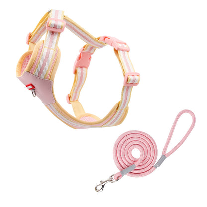 Breathable Mesh Harness & Leash Set