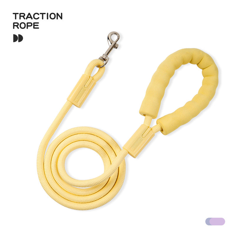 Braided Nylon Dog Leash for Dogs – Multi