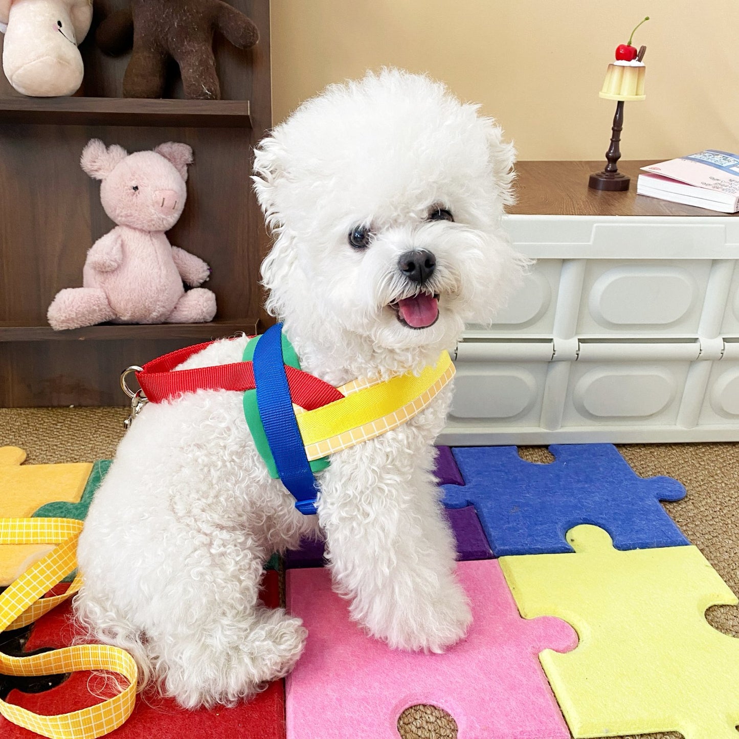 Rainbow Harness and Leash Set for Dogs – Rainbow