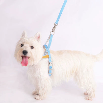 Lightweight Quick-Wear Harness & Leash Set