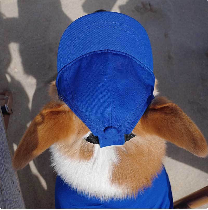Korean Style Baseball Cap for Dogs – Black