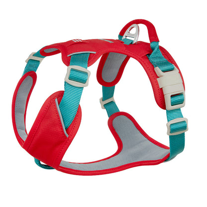 Pop Art Harness & Leash Set