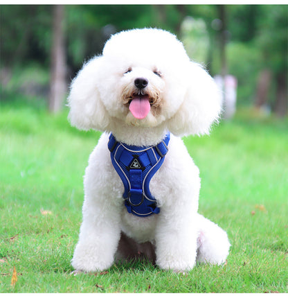 Reflective Mesh Harness & Leash Set