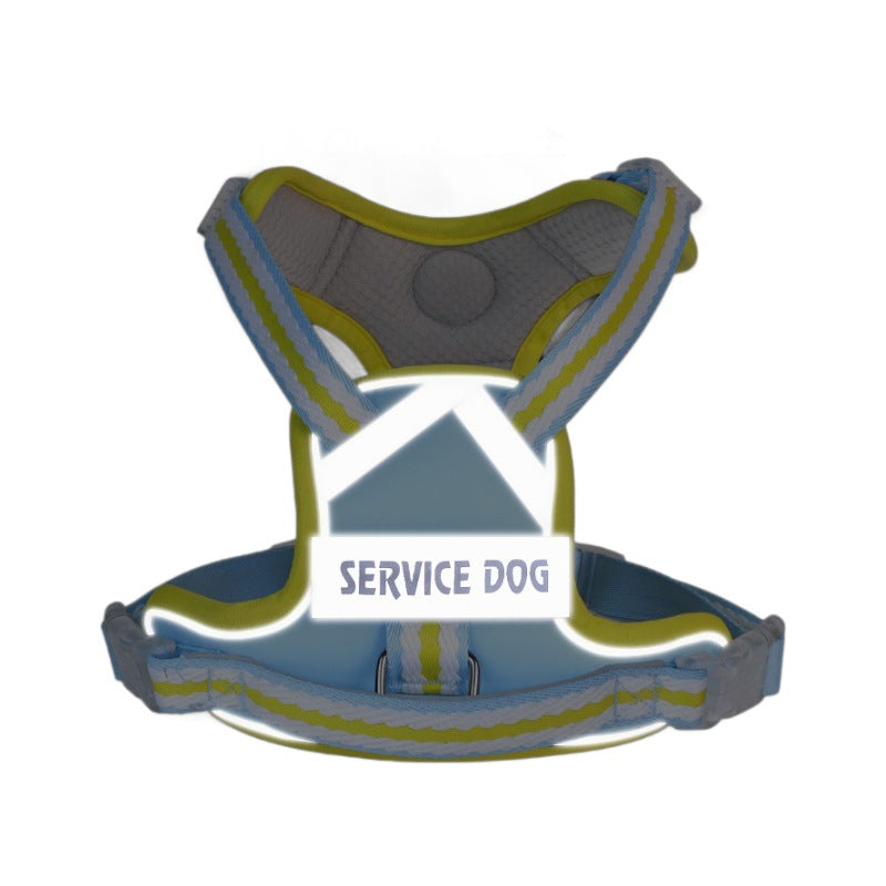 Breathable Mesh Harness & Leash Set