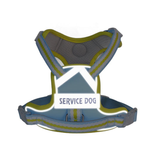 Breathable Mesh Harness & Leash Set