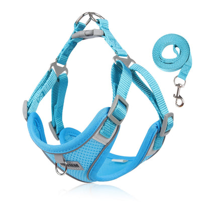 Breathable Mesh Harness & Leash Set