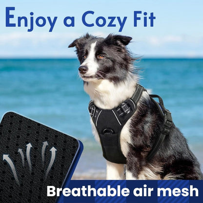 No-Pull Mesh Dog Harness