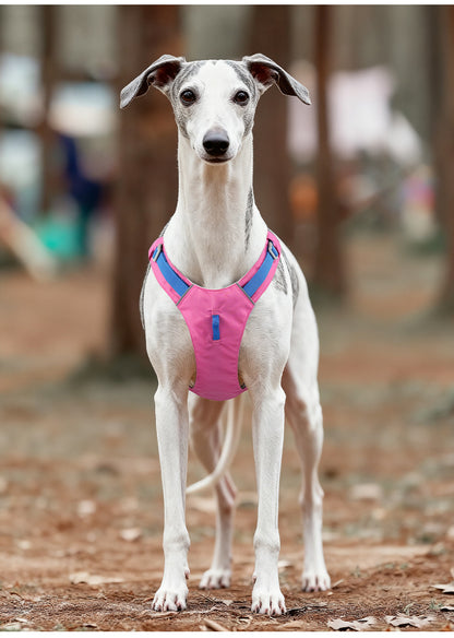 Lightweight Reflective Dog Harness