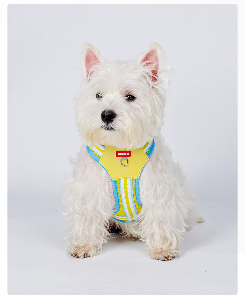 Breathable Mesh Harness & Leash Set
