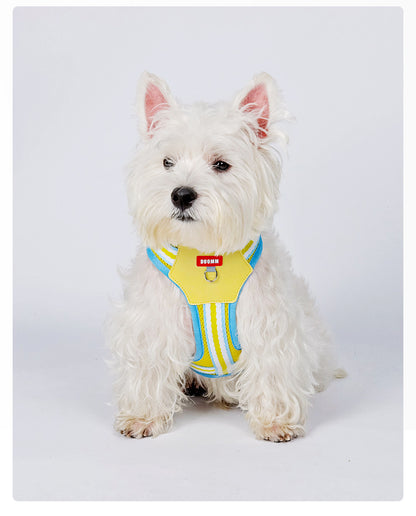 Breathable Mesh Harness & Leash Set