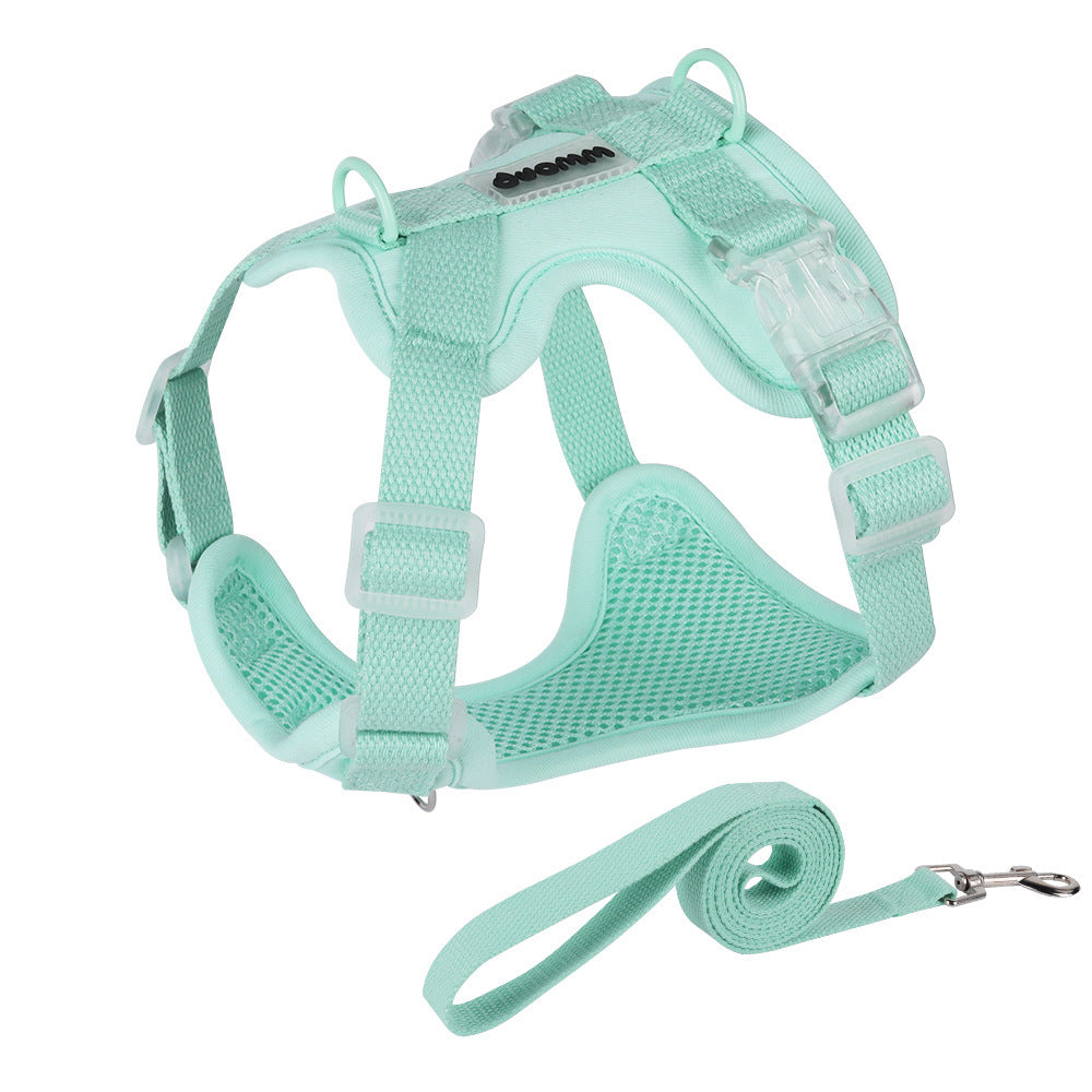 Breathable Mesh Harness & Leash Set