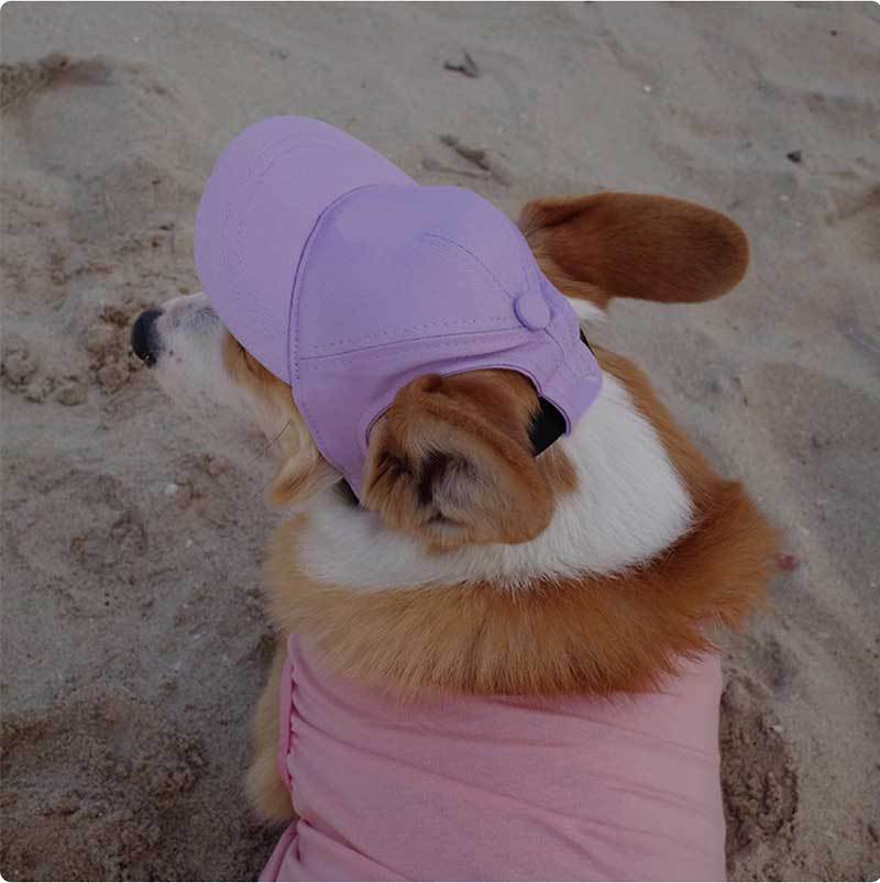 Korean Style Baseball Cap for Dogs – Black