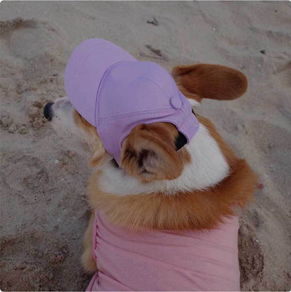Korean Style Baseball Cap for Dogs – Black