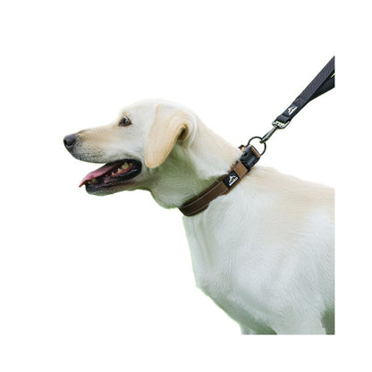 Reflective Adjustable Dog Collar for Dogs – Solid Colors