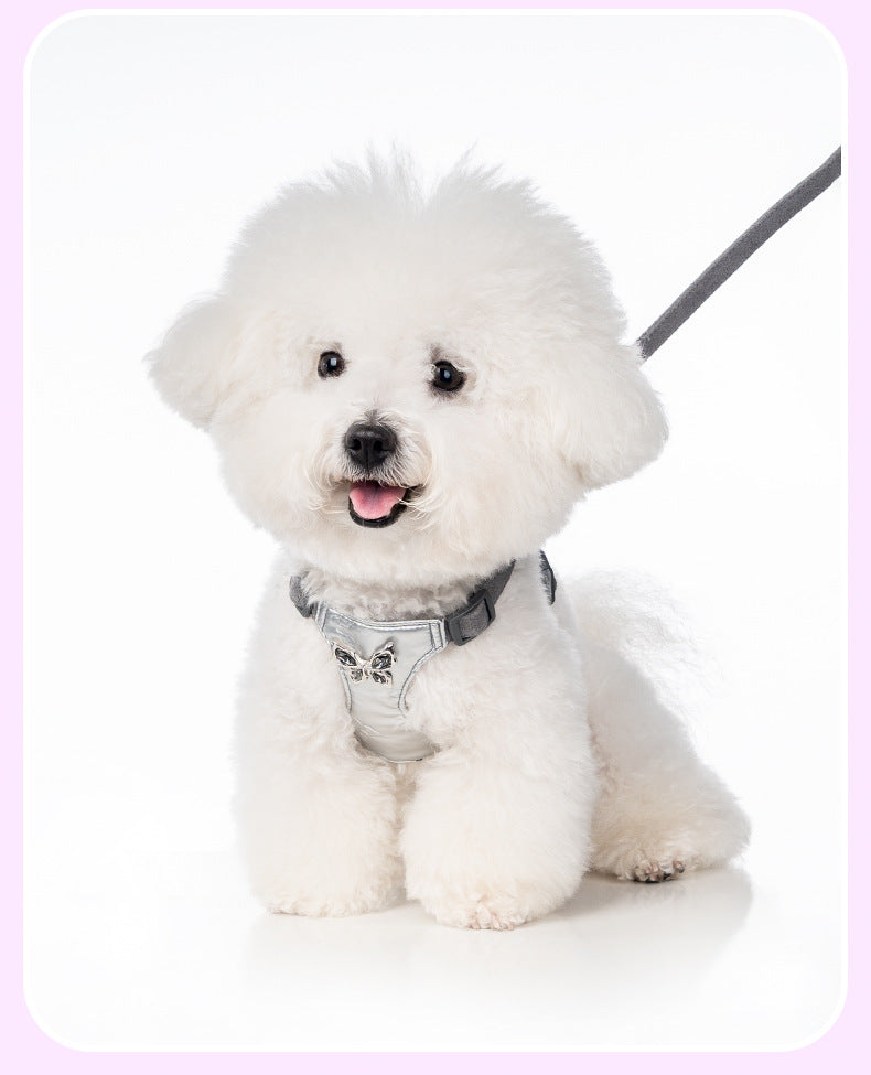 Butterfly Rhinestone Harness & Leash Set