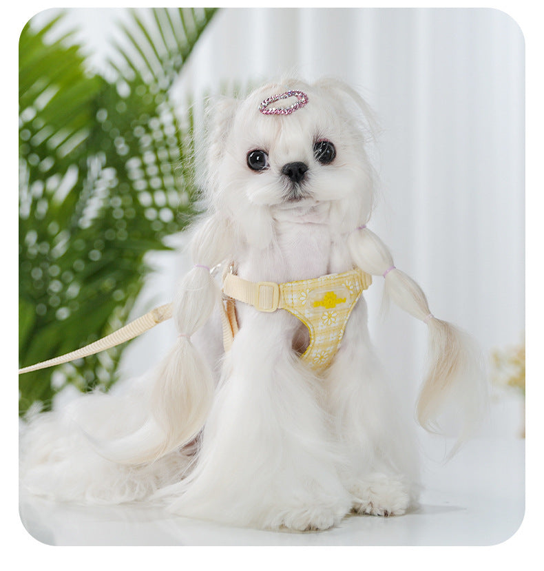 Daisy Plaid Harness & Leash Set