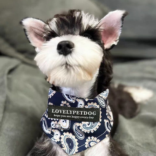 Paisley & Plaid Dog Bandana