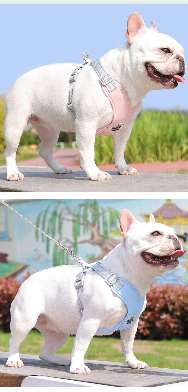 Reflective Mesh Harness & Leash Set