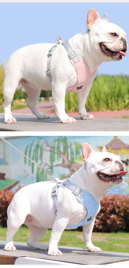 Reflective Mesh Harness & Leash Set