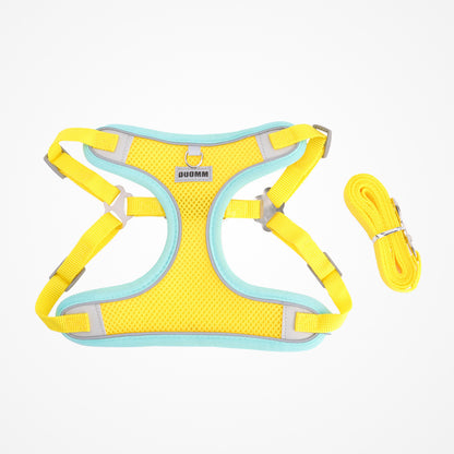 Breathable Mesh Harness & Leash Set