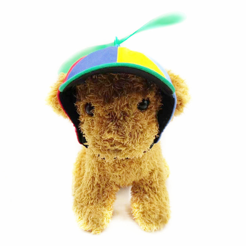 Color-Block Propeller Dog Hat for Dogs – Orange
