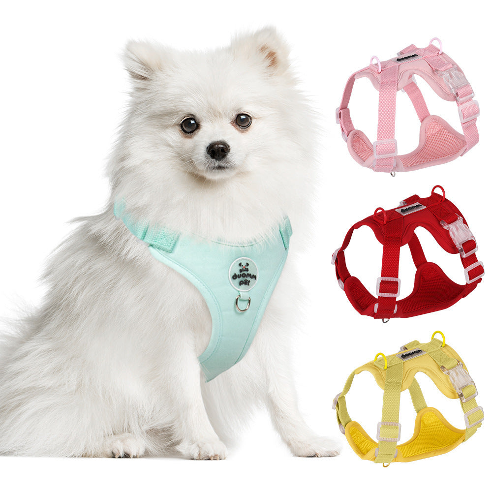 Breathable Mesh Harness & Leash Set
