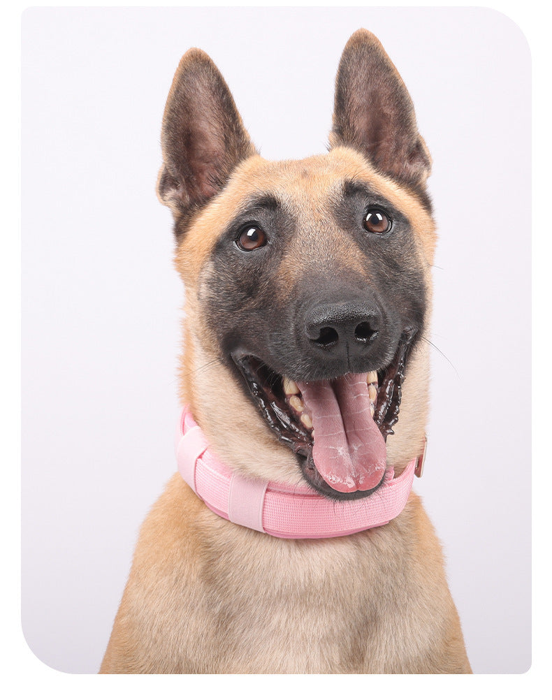 Tactical Rivet Dog Collar
