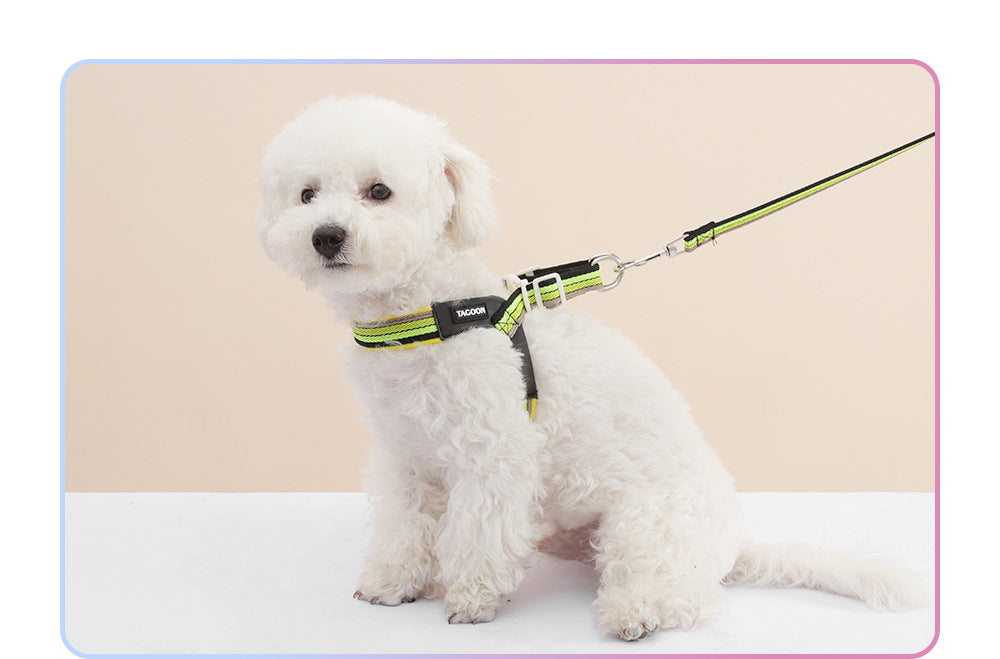 Rainbow V-Shaped Harness & Leash Set