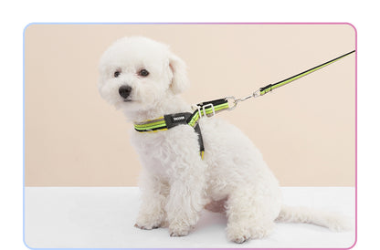 Rainbow V-Shaped Harness & Leash Set