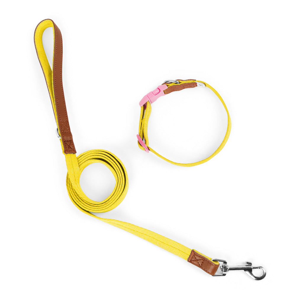 Two-Tone Dog Accessory Set for Dogs – Multi
