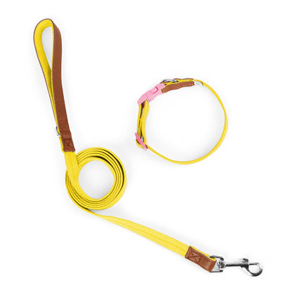 Two-Tone Dog Accessory Set for Dogs – Multi