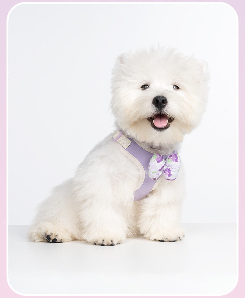 Fruit Pattern Harness & Leash Set