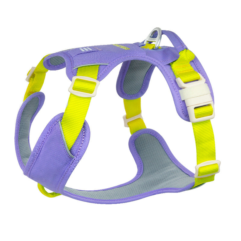 Pop Art Harness & Leash Set