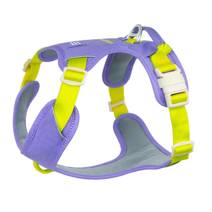 Pop Art Harness & Leash Set