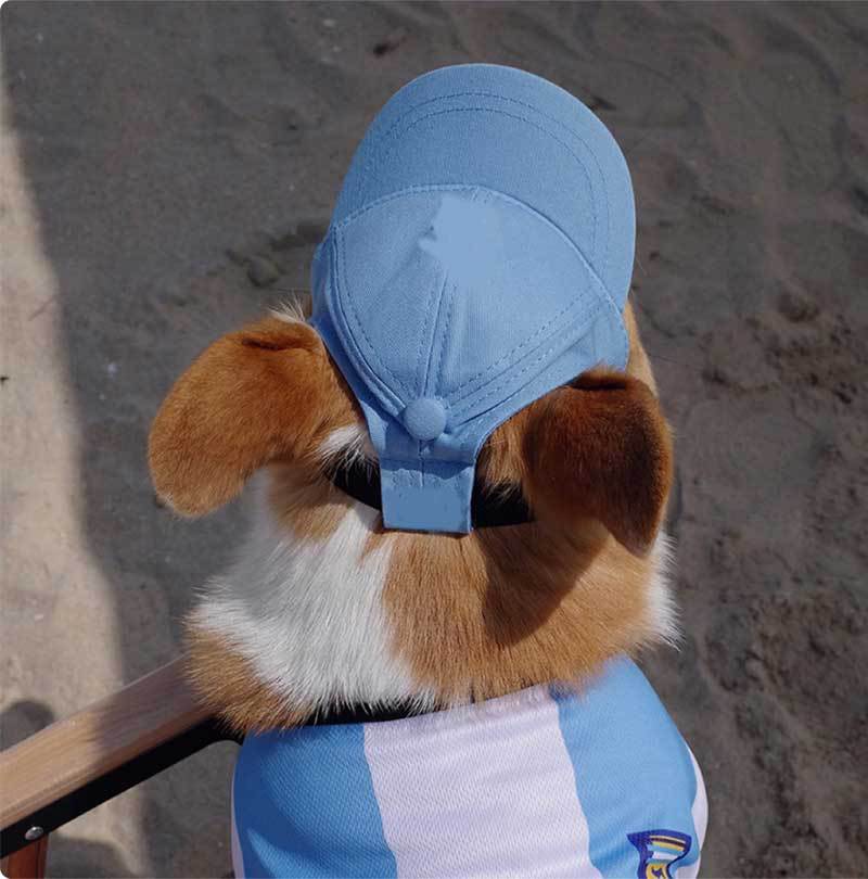 Korean Style Baseball Cap for Dogs – Black
